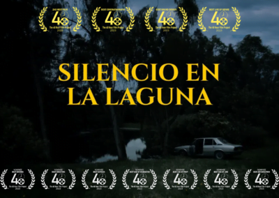 Silencio en la laguna, ganador en Proyecto 48