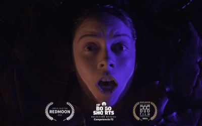 “Reflection”, Official Selection at Bogoshorts 2021